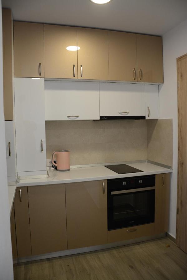 Luxury Panorama Apartament,Coresi Braşov Exterior foto